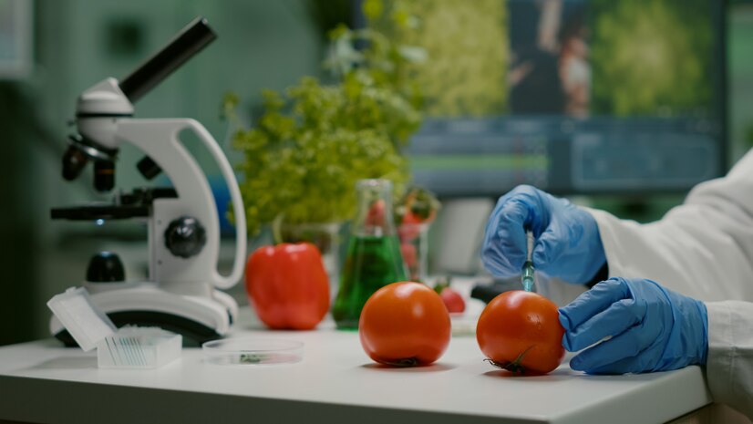 closeup-chemist-scientist-injecting-organic-tomato-with-pesticides-gmo-test_482257-2125.jpg